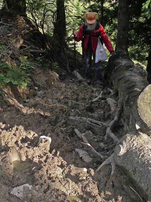 Langweilig wird es nie