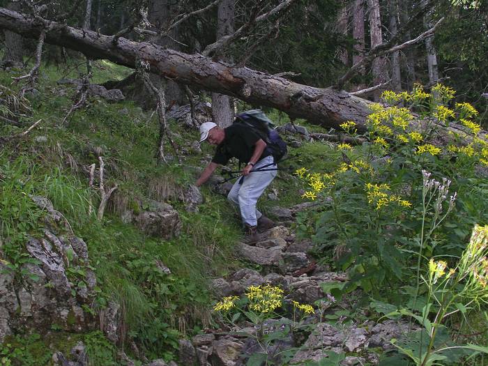 Besser als der Fahrweg