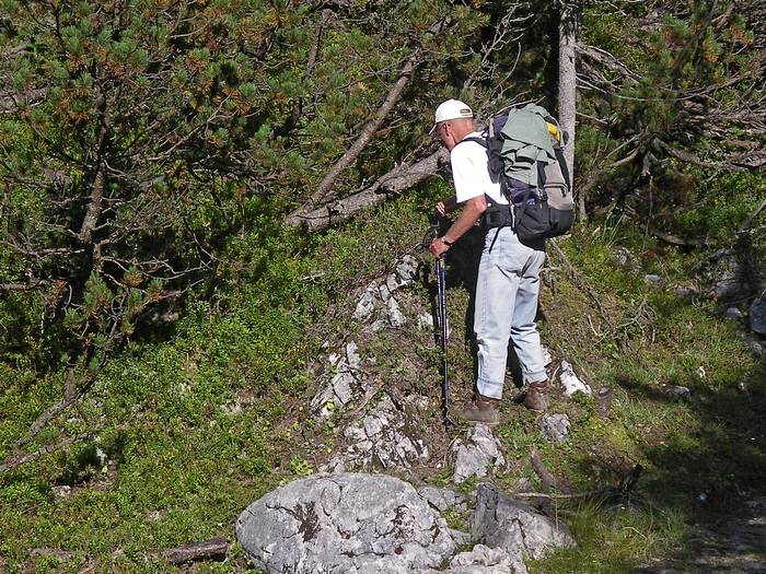 Beerenhunger im Hufachboden