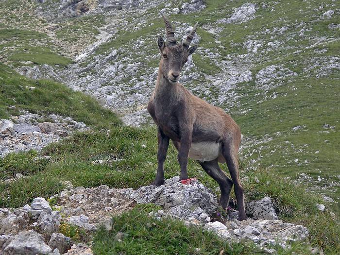 Du kommst nicht vorbei