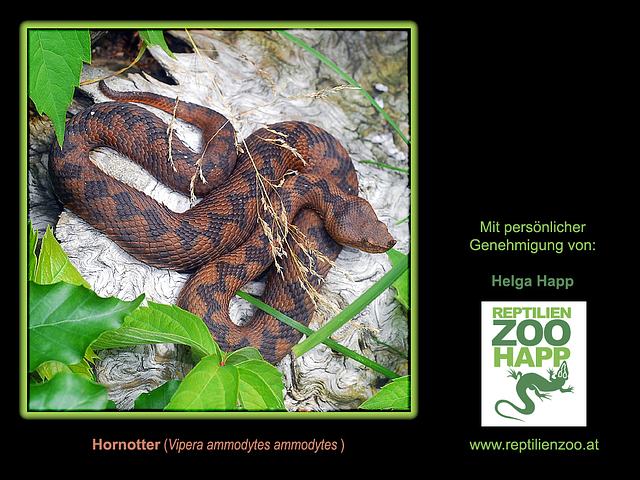 Reptilienzoo Helga Happ